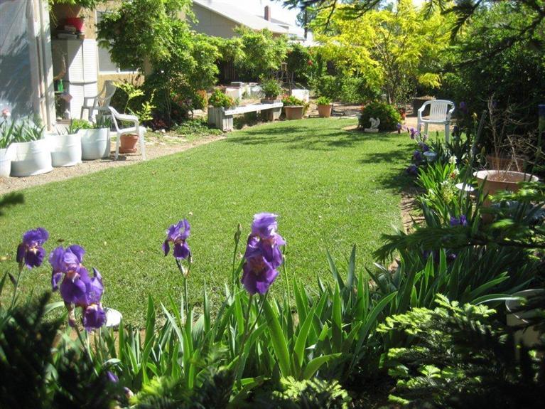 621 Abbott Avenue Reedley, CA 93654 - Photo 30 of 31 Gallery Image 30