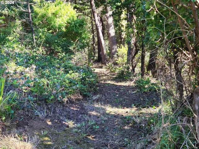 $410,000 | 41565 Highway 101, Port Orford, OR 97465