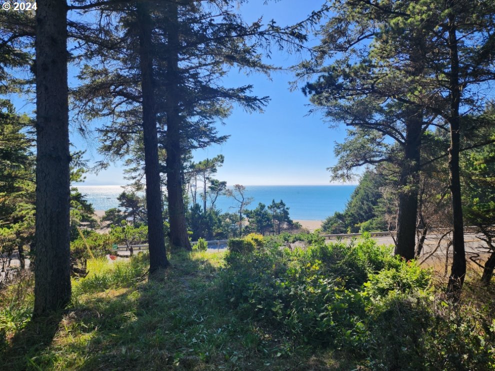 41565 Highway 101 Port Orford, OR 97465 - Photo 14 of 23