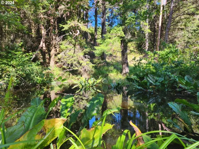 $410,000 | 41565 Highway 101, Port Orford, OR 97465