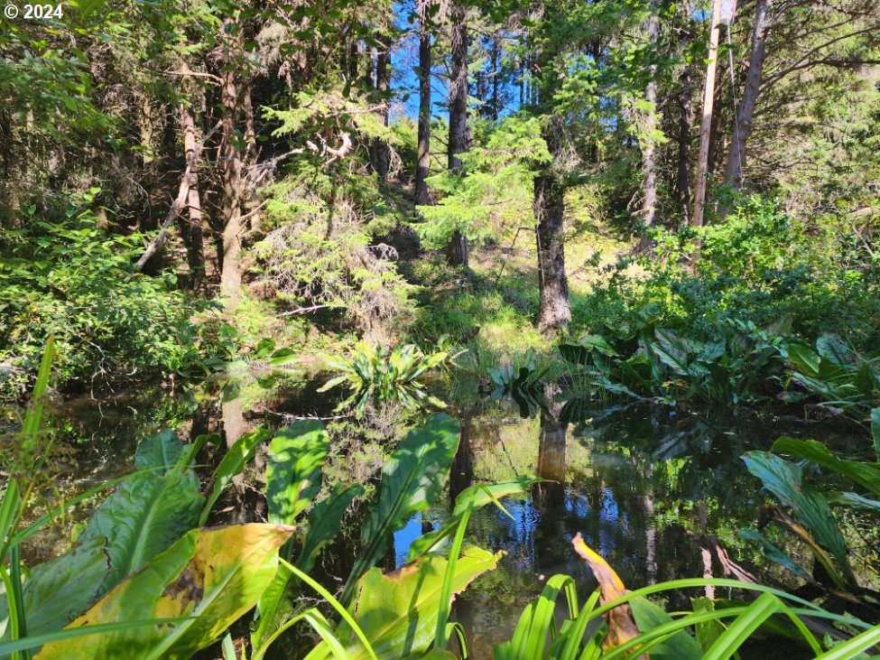 41565 Highway 101 Port Orford, OR 97465 - Photo 15 of 23 Pond