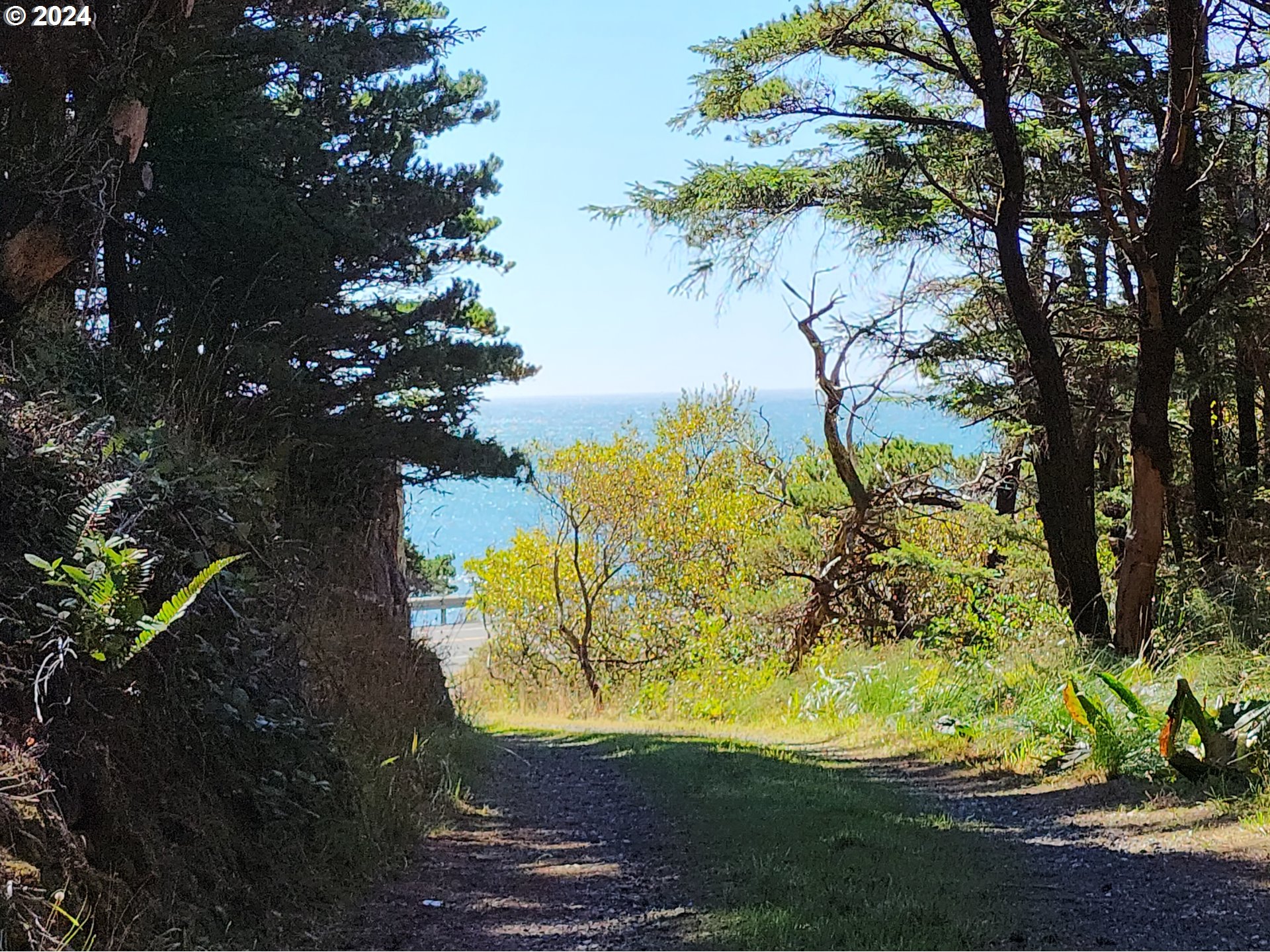 41565 Highway 101 Port Orford, OR 97465 - Photo 16 of 23 Property Entrance