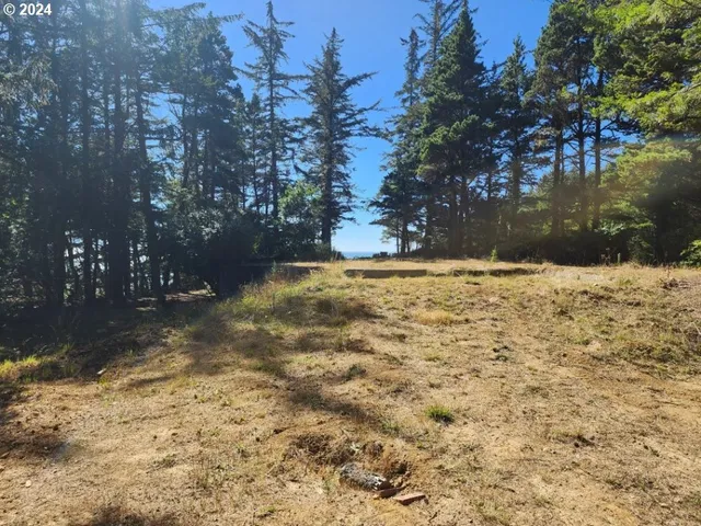 $410,000 | 41565 Highway 101, Port Orford, OR 97465