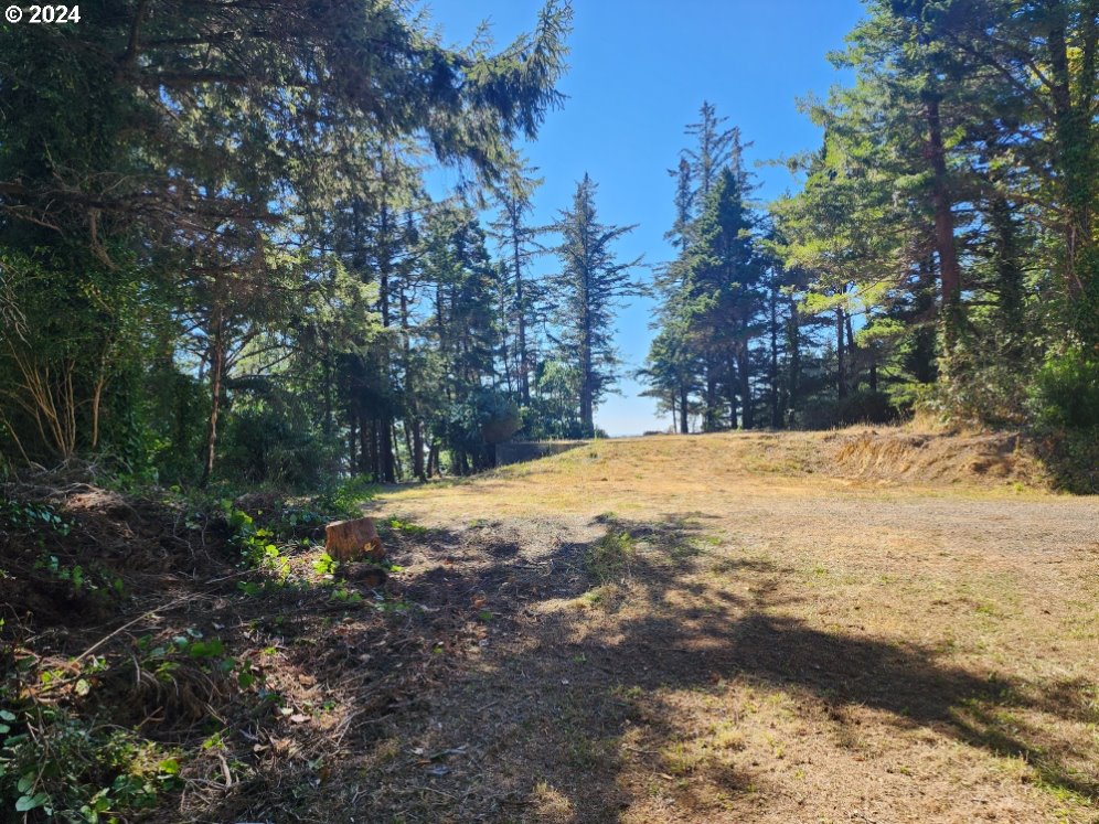 41565 Highway 101 Port Orford, OR 97465 - Photo 4 of 23