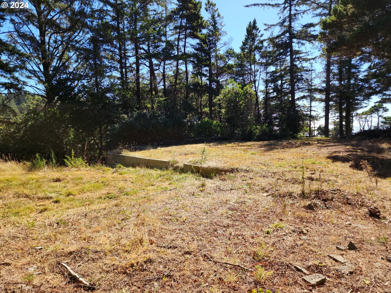 41565 Highway 101 Port Orford, OR 97465 - Photo 8 of 23