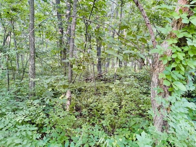 Lot 9 Mount Hope Brodhead, WI 53520 - Photo 10 of 14
