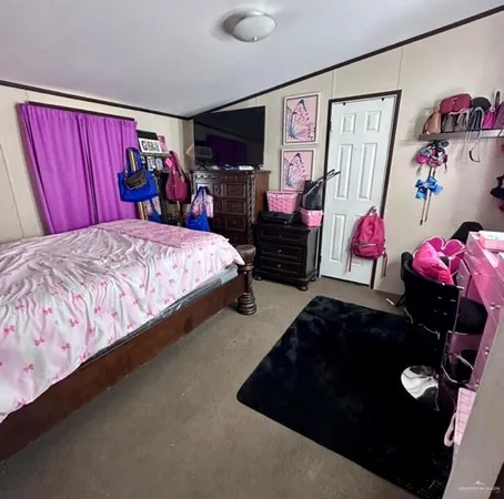 a bed room with a bed and a tv