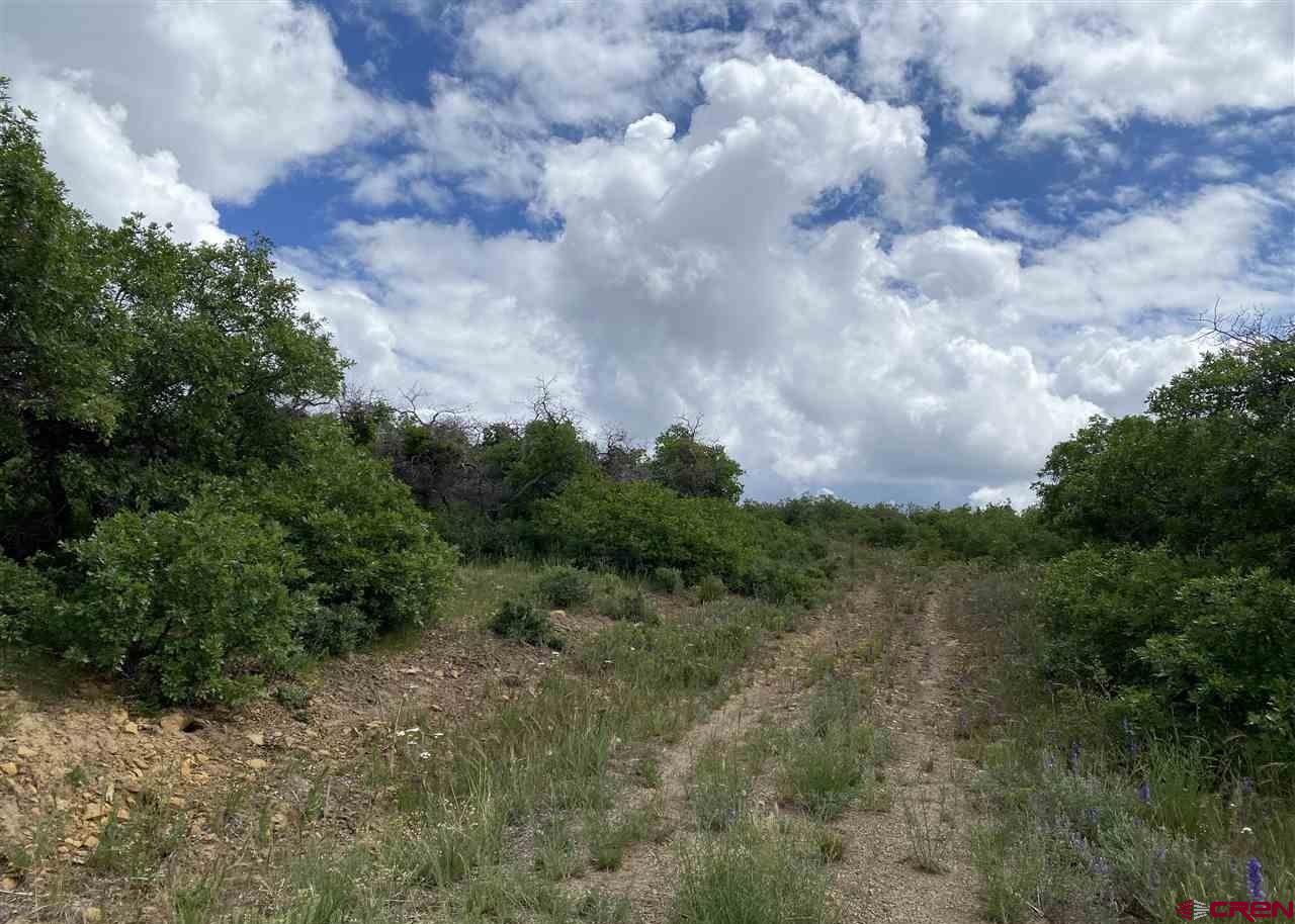 Lot 9 Cross Creek Road Hesperus, CO 81326 - Photo 3 of 7 a view of a lot of trees