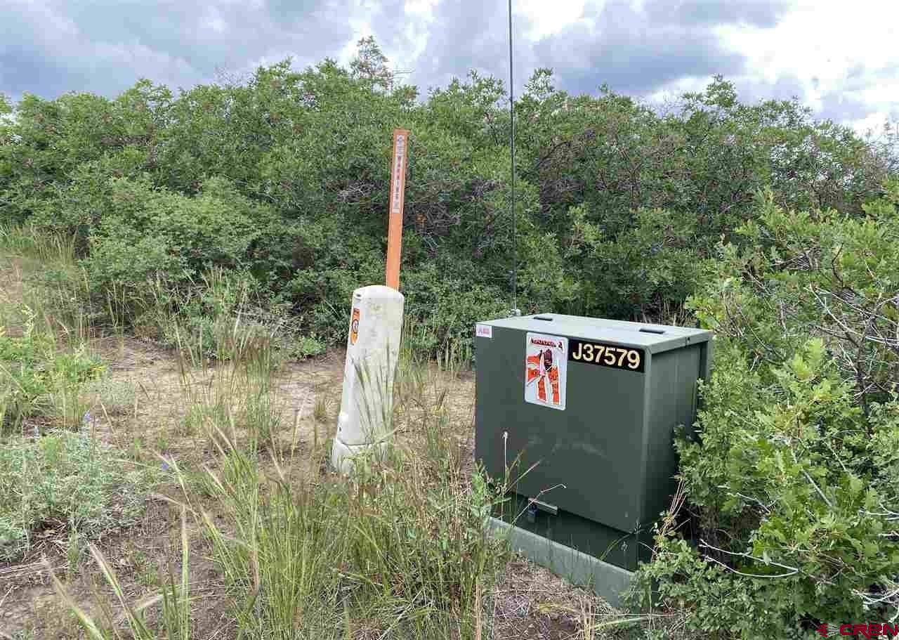 Lot 9 Cross Creek Road Hesperus, CO 81326 - Photo 4 of 7 a view of a sign board with tall trees