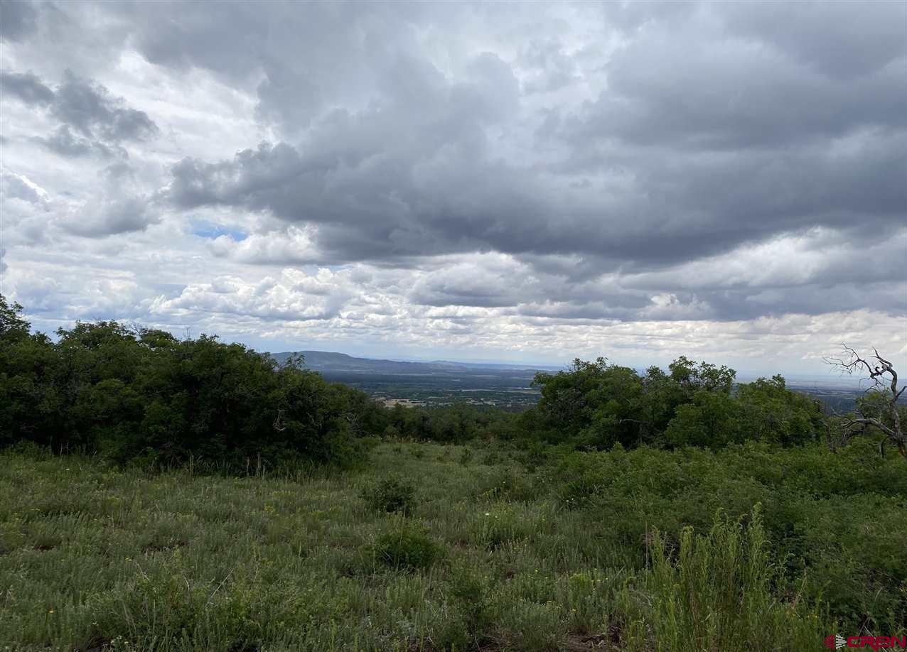 Lot 9 Cross Creek Road Hesperus, CO 81326 - Photo 5 of 7 a view of a yard and covered with green space