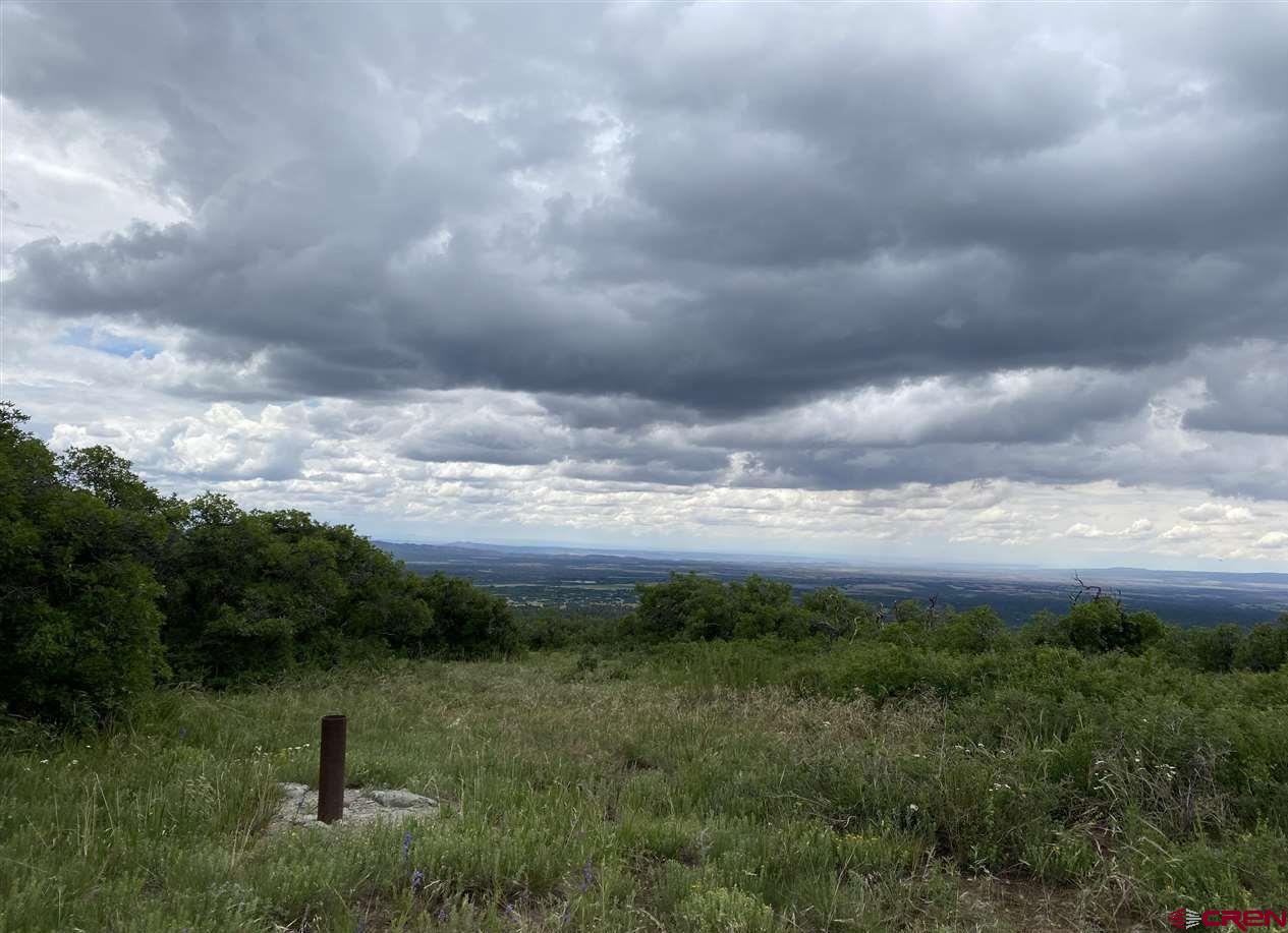 Lot 9 Cross Creek Road Hesperus, CO 81326 - Photo 6 of 7 a view of a city with lush green forest