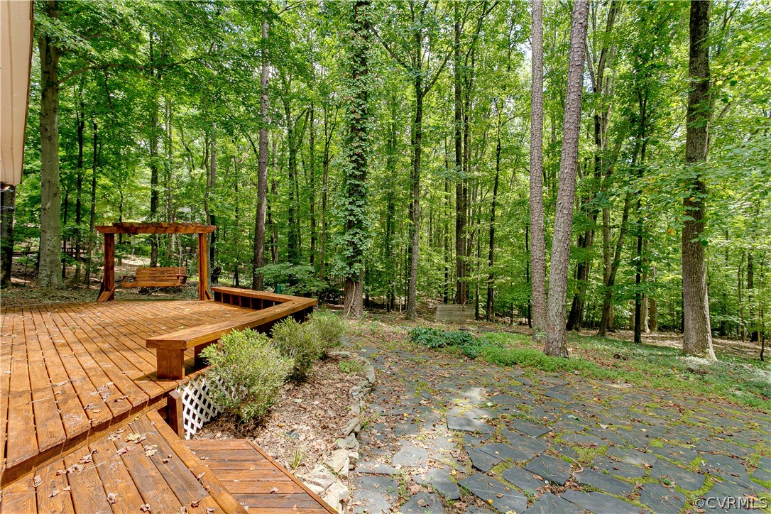 14313 Winter Ridge Lane Midlothian, VA 23113 - Photo 3 of 30 Gallery Image 3