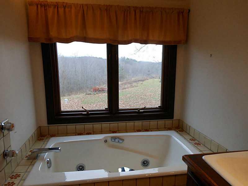 4499 Hilty Road Murrysville, PA 15668 - Photo 16 of 25 Master Bath/Spa.