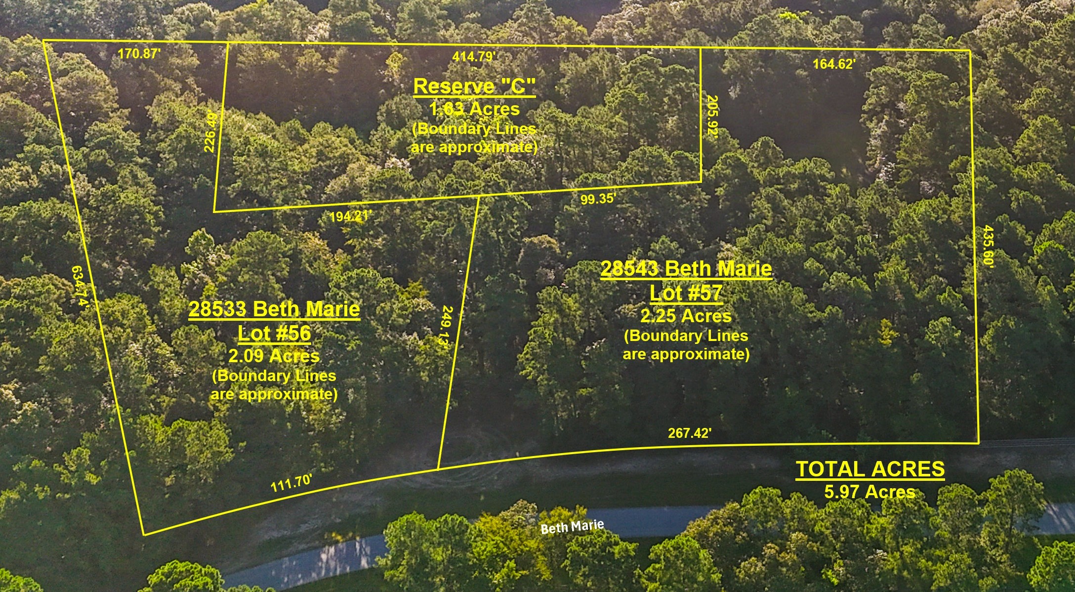 28543 Beth Marie Magnolia, TX 77355 - Photo 2 of 13 a view of a balcony