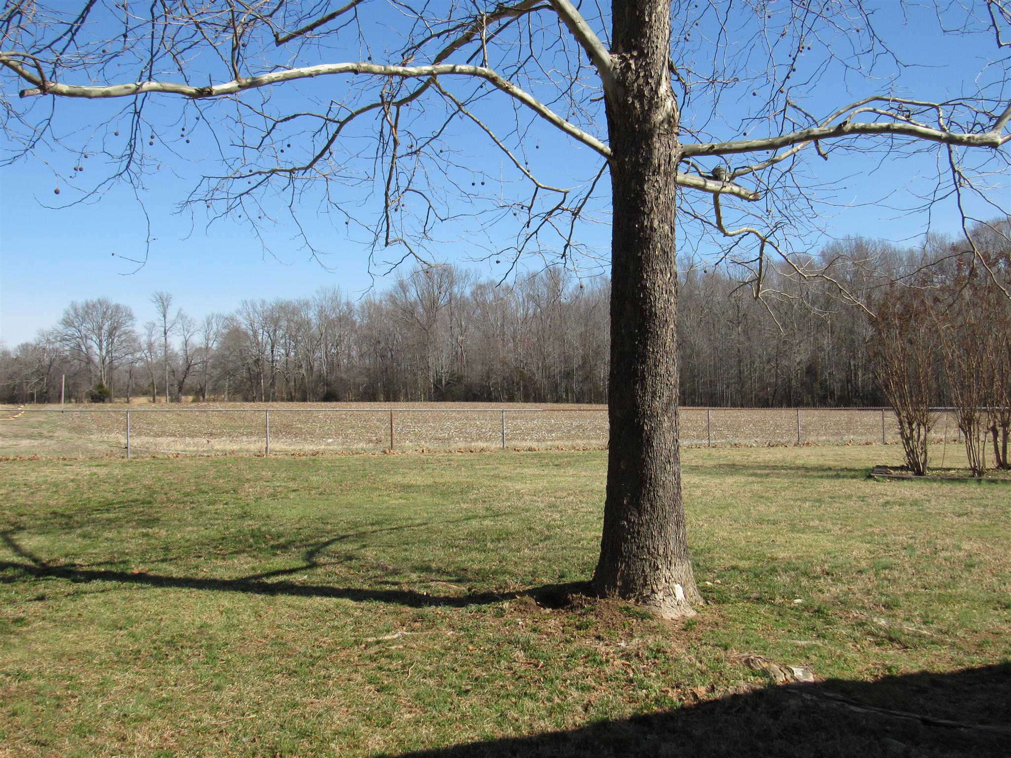275 Jones Road Taft, TN 38488 - Photo 2 of 26 a view of a yard
