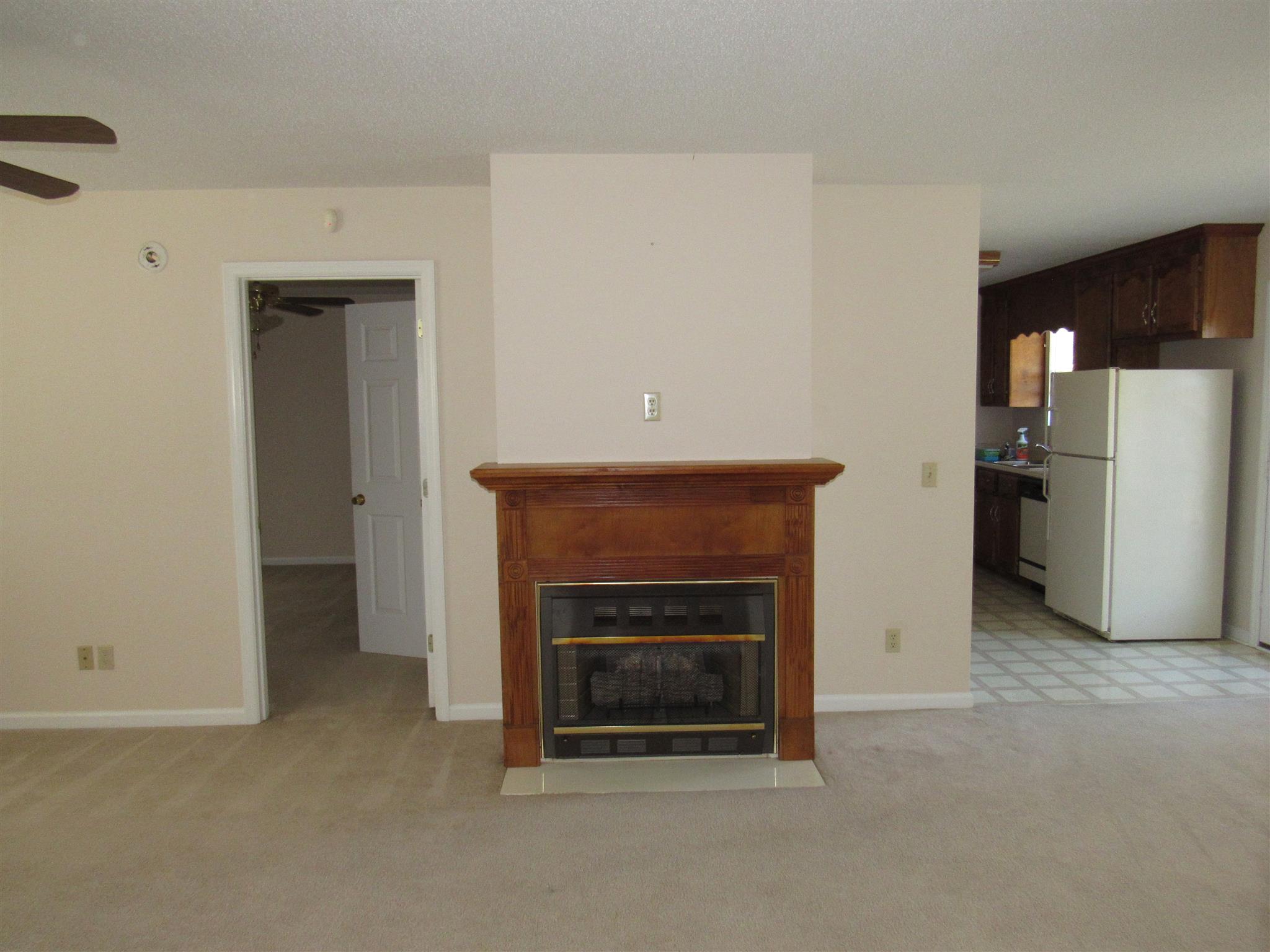 275 Jones Road Taft, TN 38488 - Photo 10 of 26 a view of a livingroom with a fireplace