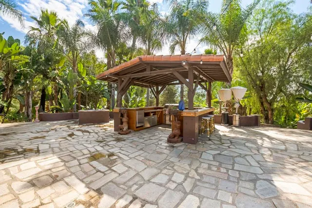a view of a backyard with plants and a large tree