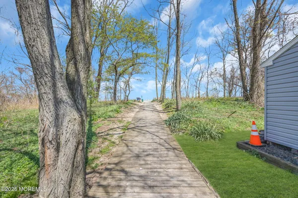 a view of a yard with plants and a large tree