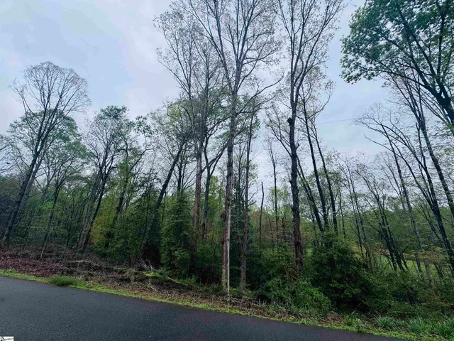$22,500 | 0 Country Glen Lane, Unit LOT 5B, Pelzer, SC 29669