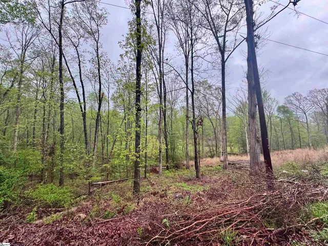 $22,500 | 0 Country Glen Lane, Unit LOT 5B, Pelzer, SC 29669
