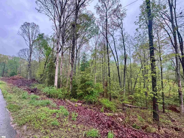 $22,500 | 0 Country Glen Lane, Unit LOT 5B, Pelzer, SC 29669