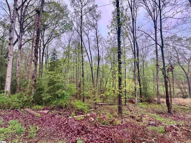 $22,500 | 0 Country Glen Lane, Unit LOT 5B, Pelzer, SC 29669