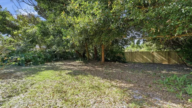a view of a yard with a tree