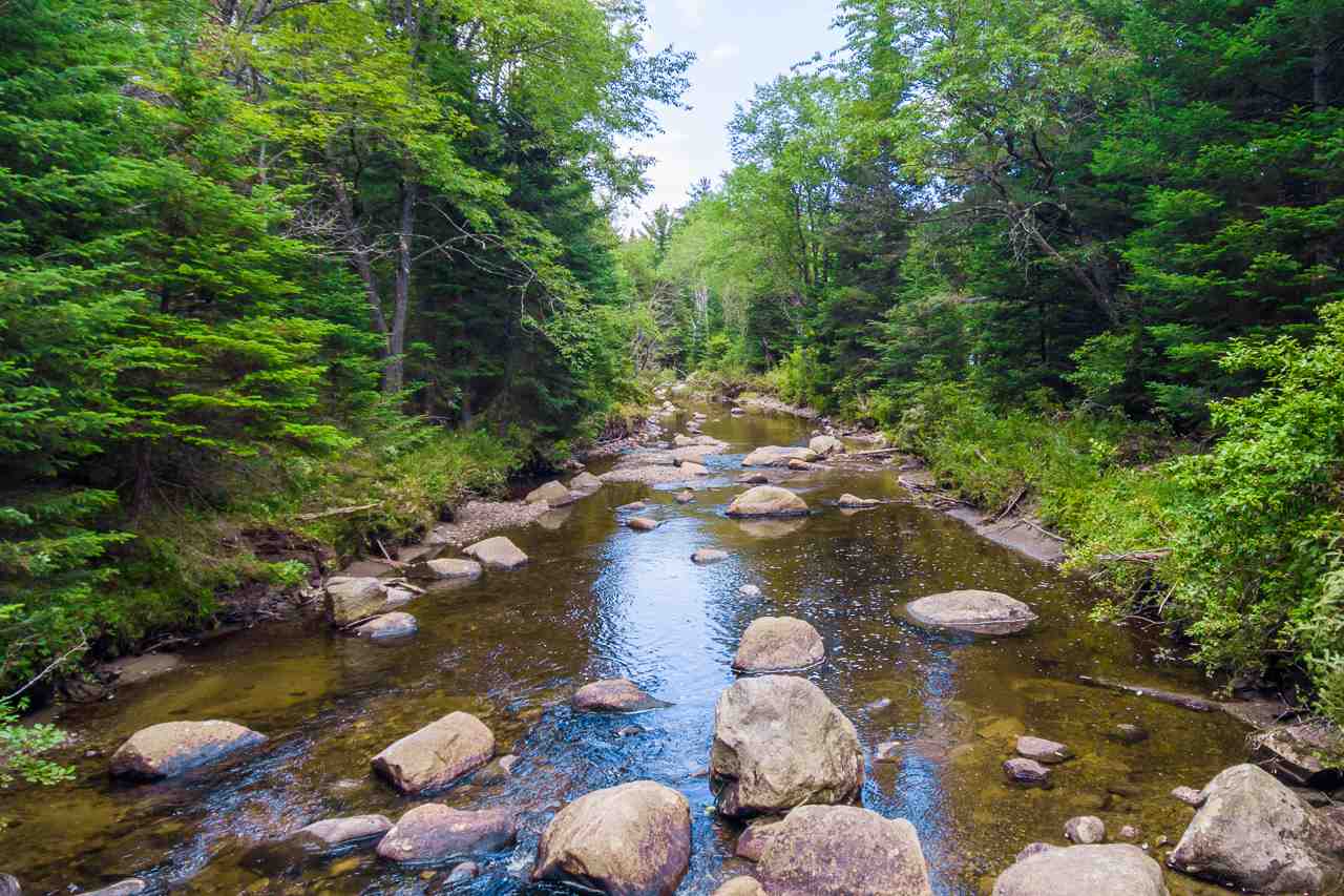 Gibson Road Easton, NH 03580 - Photo 1 of 14