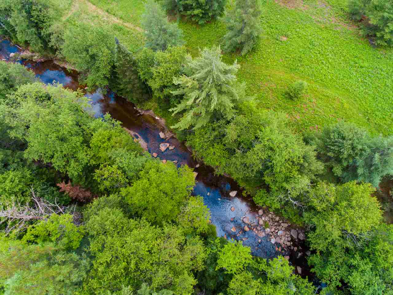 Gibson Road Easton, NH 03580 - Photo 7 of 14