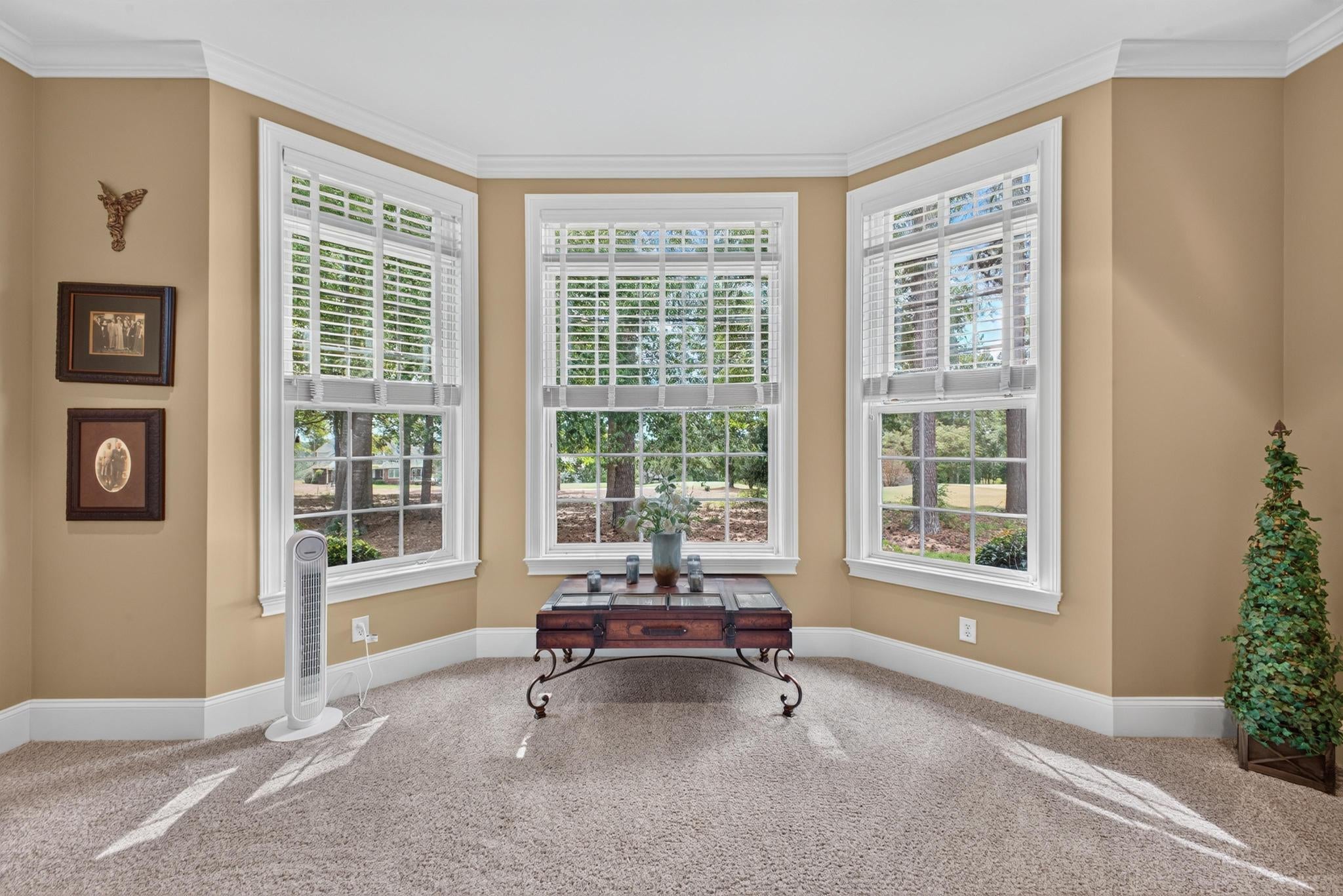 199 Red Cedar Road Aiken, SC 29803 - Photo 23 of 53 Gallery Image 23