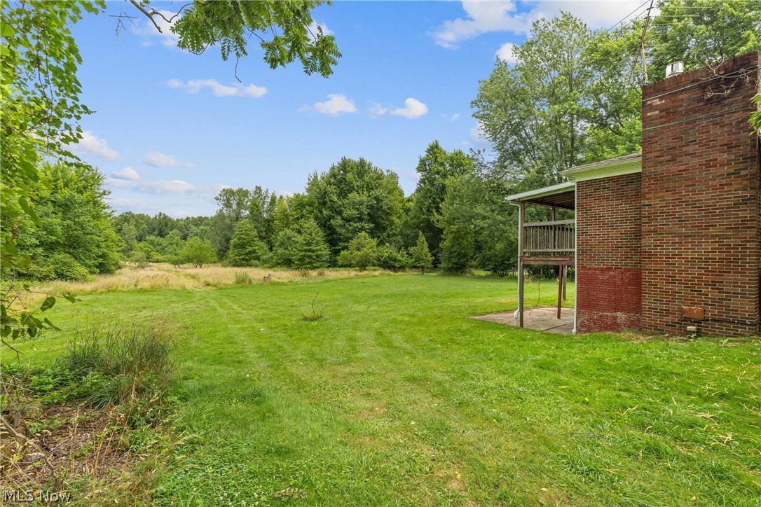 16295 Sperry Road Vermilion, OH 44089 - Photo 42 of 48 View of yard