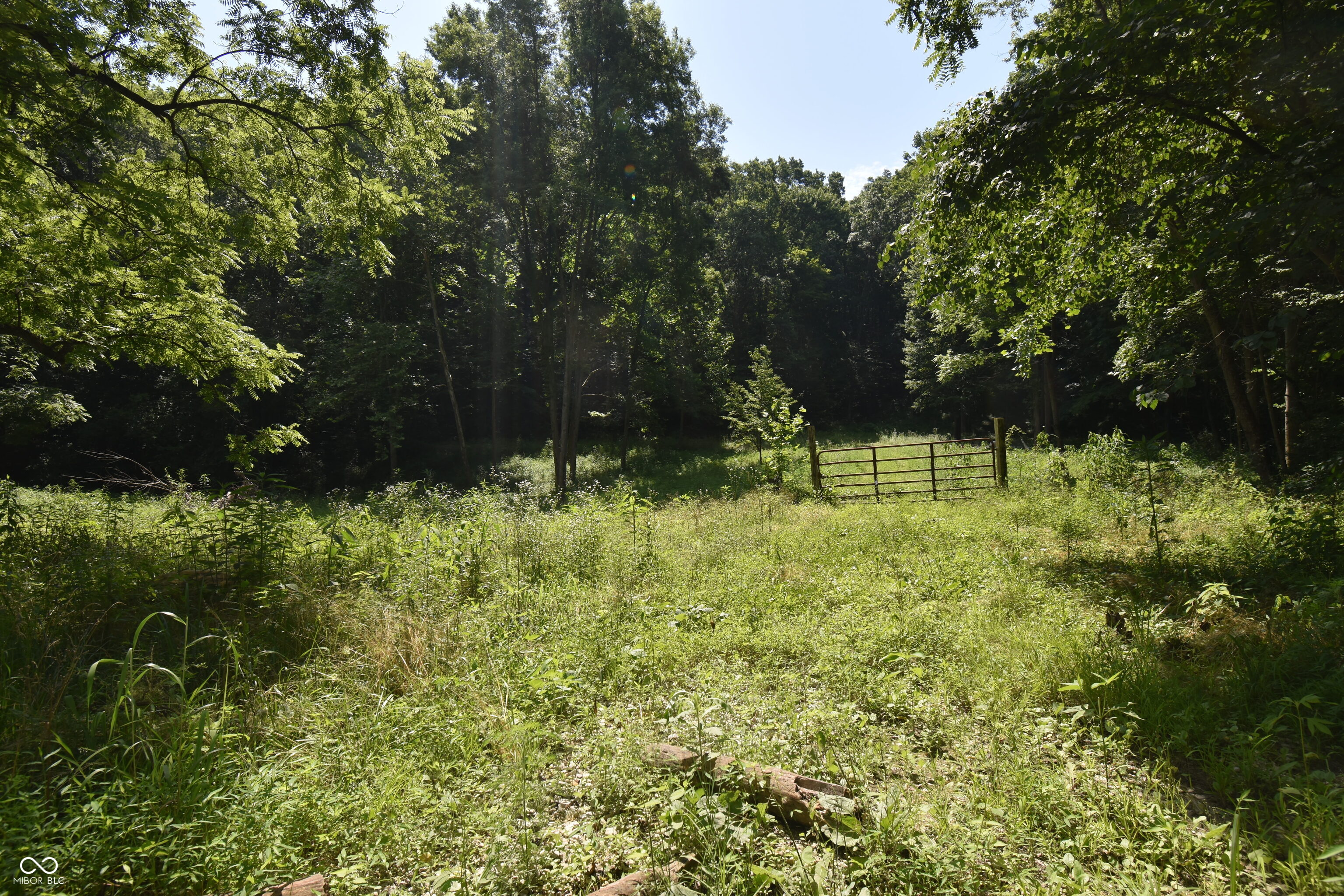 525 Catholic Cemetery Road Martinsville, IN 46151 - Photo 2 of 6