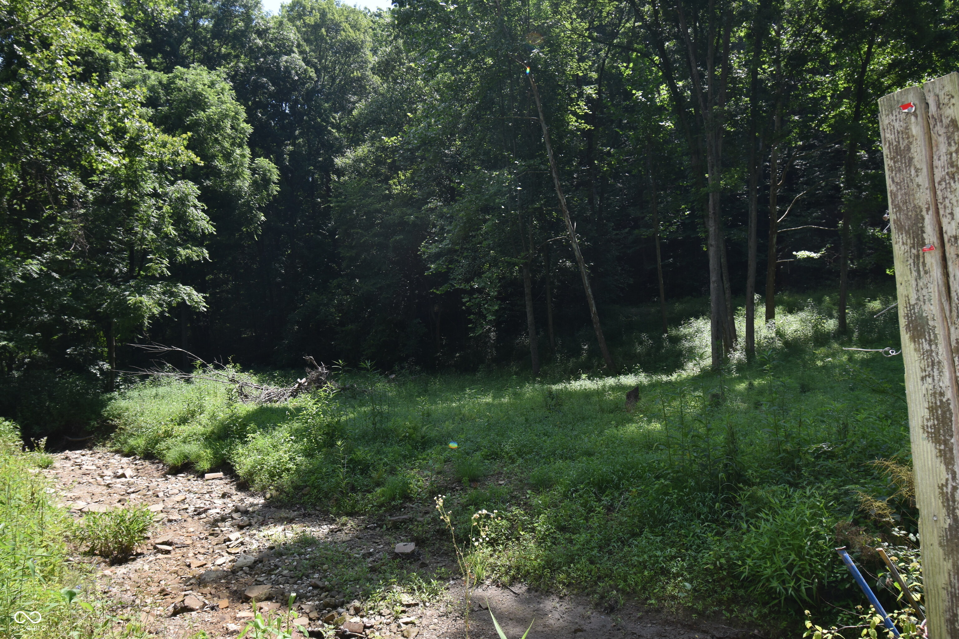 525 Catholic Cemetery Road Martinsville, IN 46151 - Photo 3 of 6
