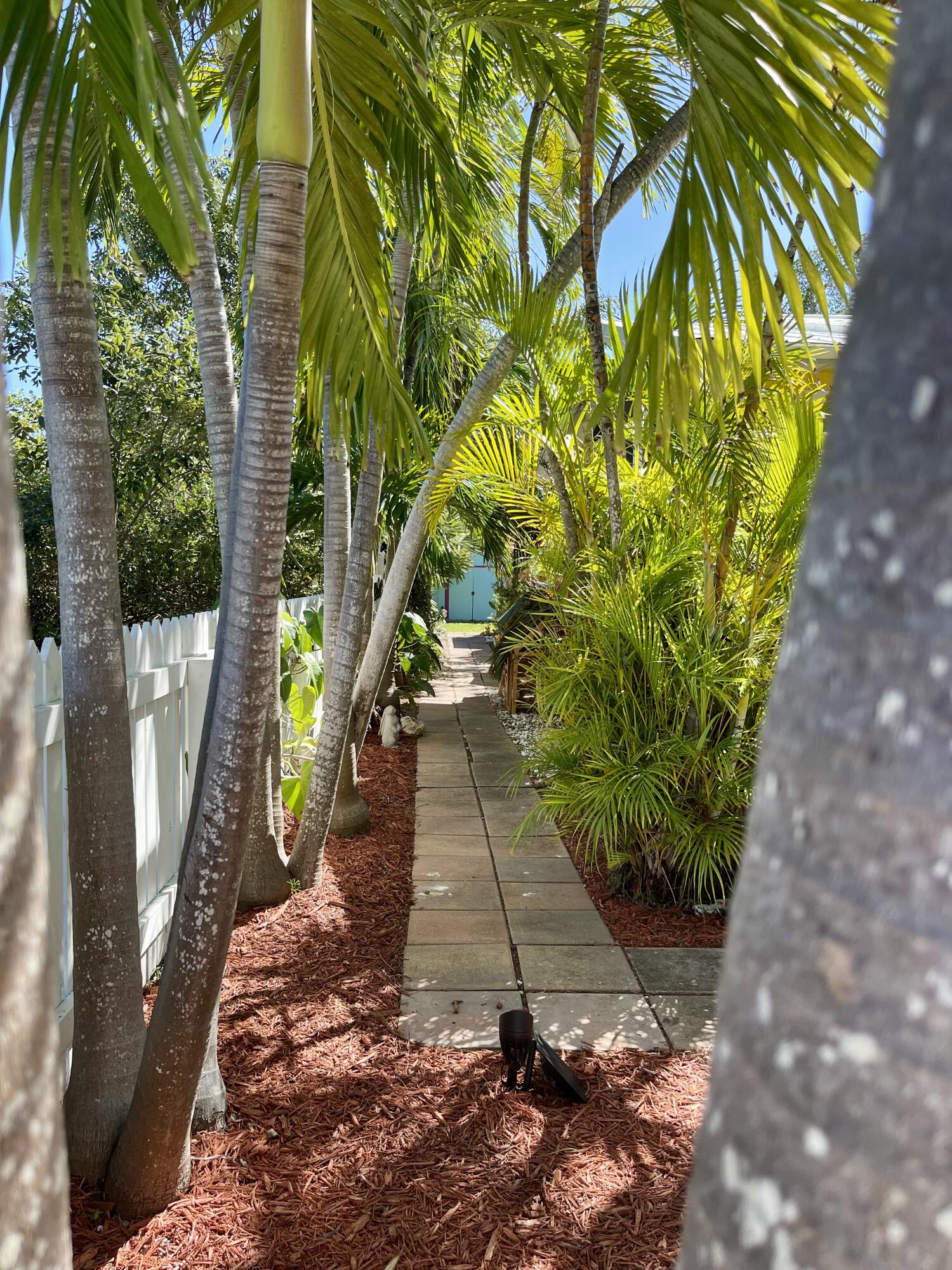 31240 Ave D Big Pine Key, FL 33043 - Photo 11 of 42 a view of a pathway with a yard