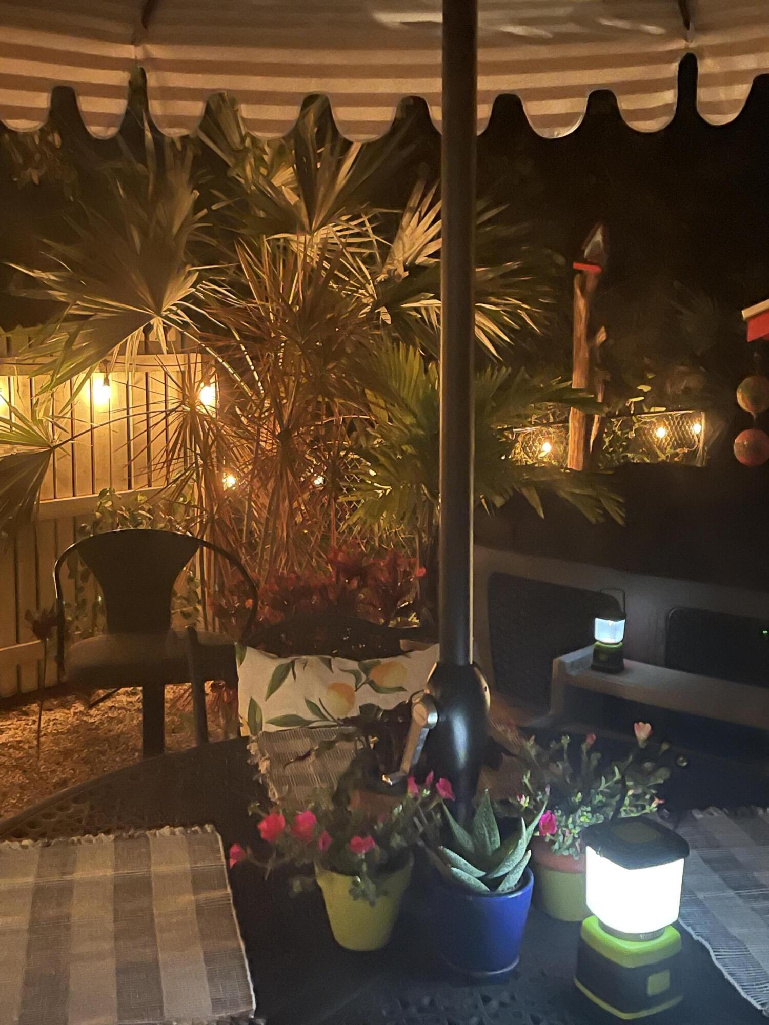 31240 Ave D Big Pine Key, FL 33043 - Photo 6 of 42 a outdoor space with lots of potted plants