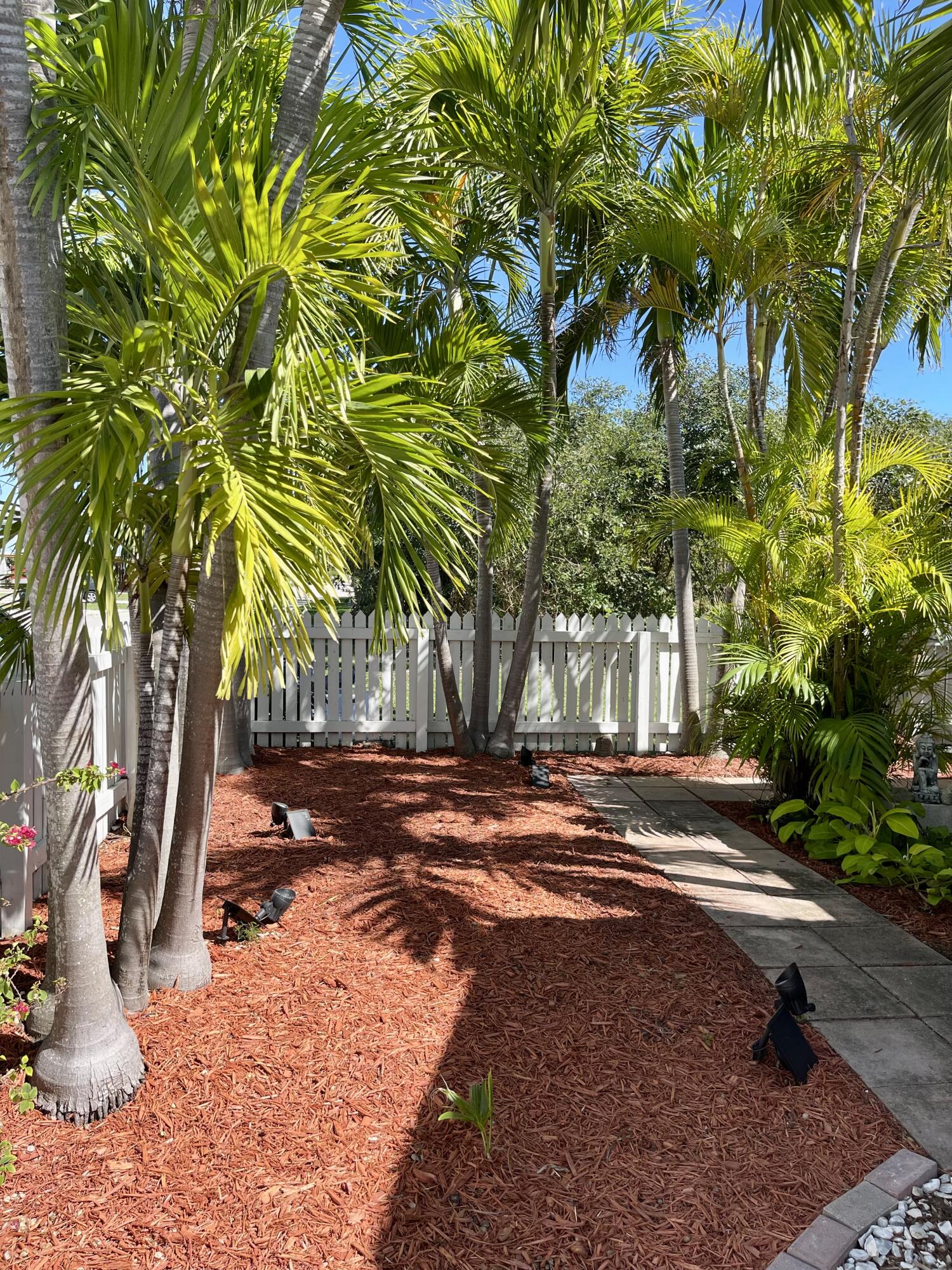 31240 Ave D Big Pine Key, FL 33043 - Photo 10 of 42 a view of a backyard with a tree