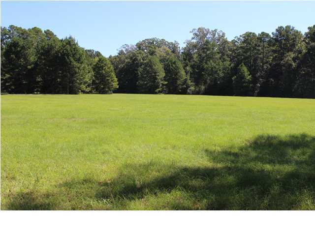 172 Roberts Road Pollock, LA 71467 - Photo 1 of 20 Primary Photo