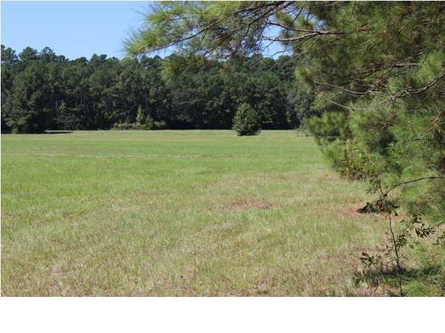 172 Roberts Road Pollock, LA 71467 - Photo 11 of 20 Additional Photo