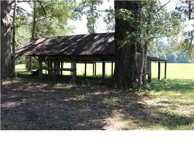 172 Roberts Road Pollock, LA 71467 - Photo 12 of 20 Additional Photo