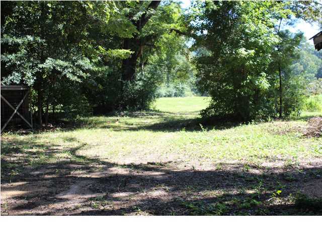 172 Roberts Road Pollock, LA 71467 - Photo 19 of 20 Additional Photo