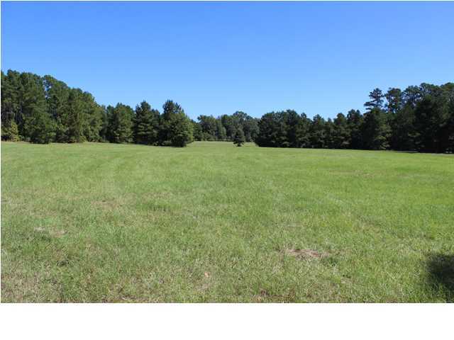 172 Roberts Road Pollock, LA 71467 - Photo 2 of 20 Additional Photo