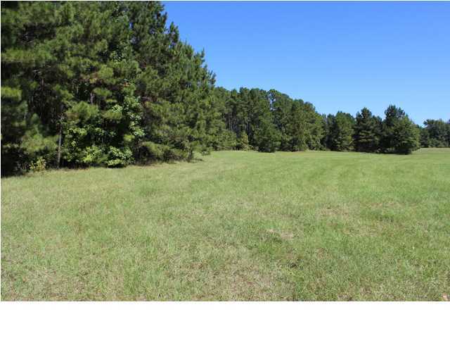172 Roberts Road Pollock, LA 71467 - Photo 3 of 20 Additional Photo