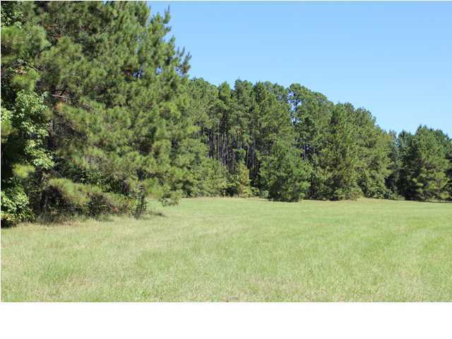 172 Roberts Road Pollock, LA 71467 - Photo 4 of 20 Additional Photo