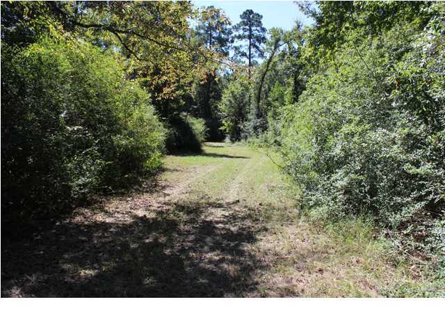 172 Roberts Road Pollock, LA 71467 - Photo 5 of 20 Additional Photo