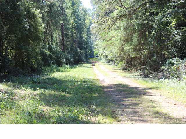 172 Roberts Road Pollock, LA 71467 - Photo 7 of 20 Additional Photo