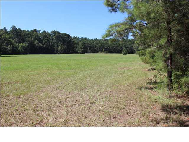 172 Roberts Road Pollock, LA 71467 - Photo 8 of 20 Additional Photo