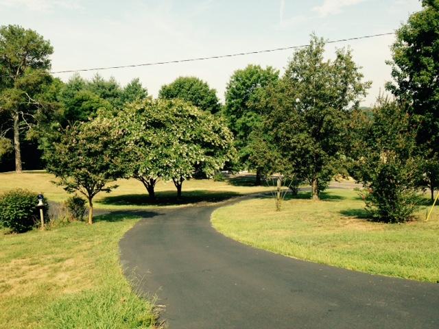 263 County Road 67 Riceville, TN 37370 - Photo 18 of 42 263 cr 67 drive way