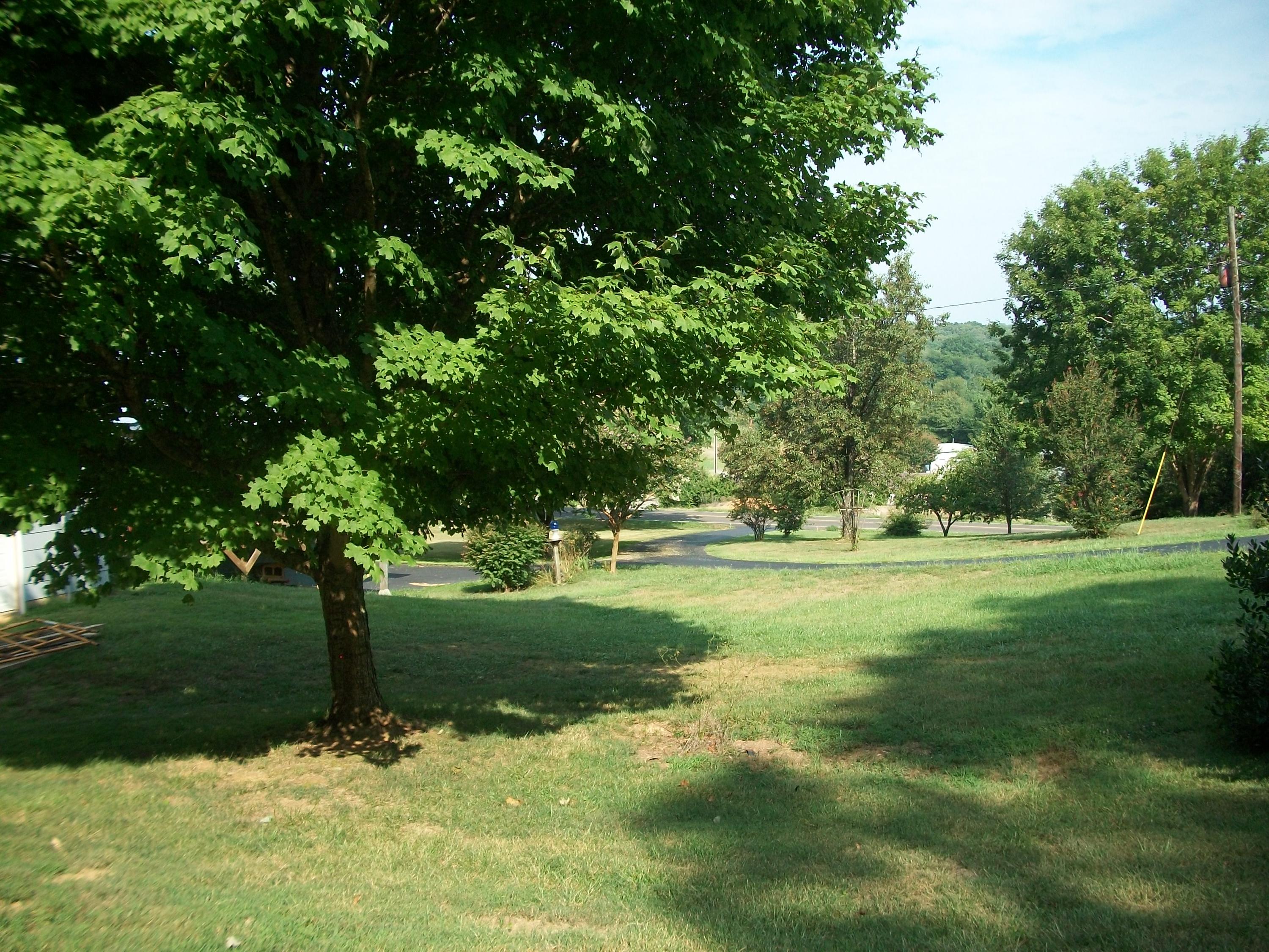 263 County Road 67 Riceville, TN 37370 - Photo 24 of 42 100_5078 (1)