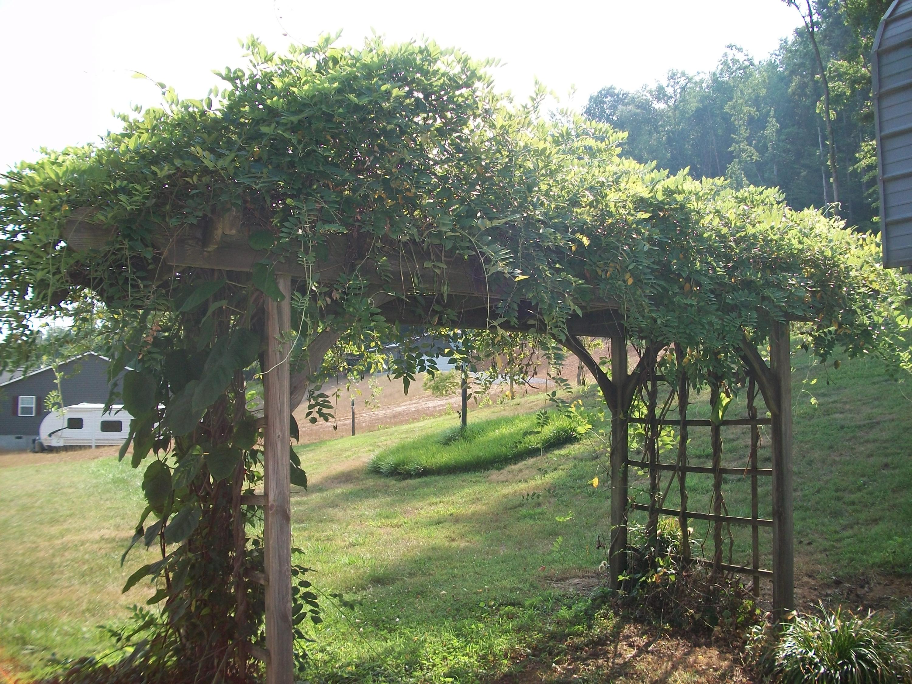 263 County Road 67 Riceville, TN 37370 - Photo 26 of 42 100_5082