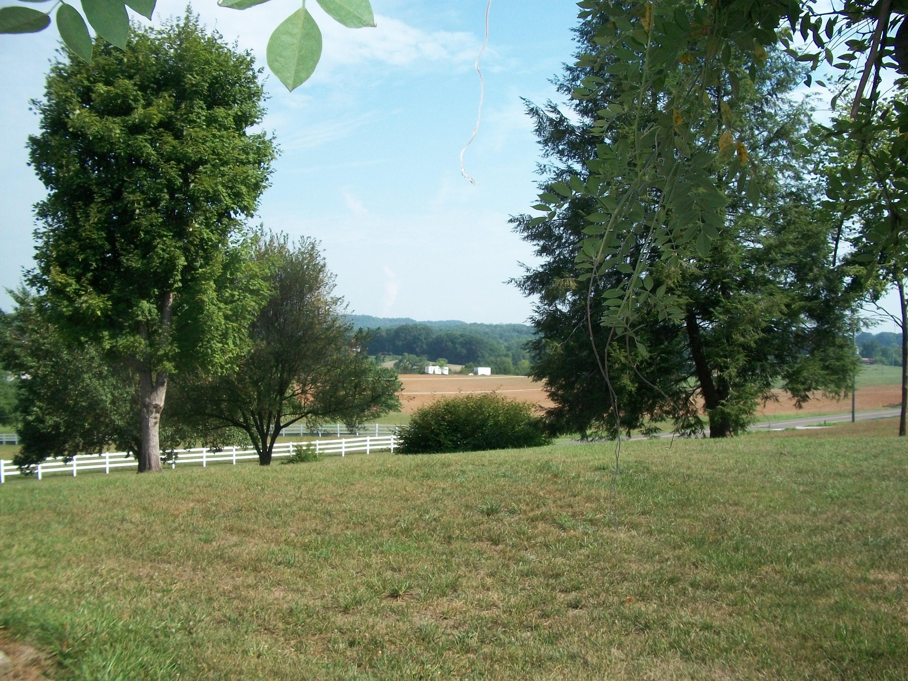 263 County Road 67 Riceville, TN 37370 - Photo 27 of 42 100_5083